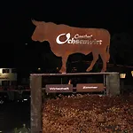 Ochsenwirt ゲストハウス オーバーアウドルフ