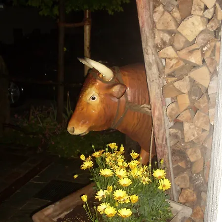 Pensjonat Ochsenwirt Oberaudorf