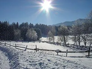 Ochsenwirt 3*
